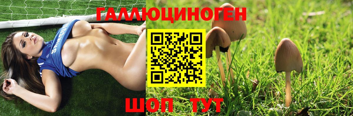 Елабуга  магазин продажи наркотиков  Вход с VPN  Псилоцибиновые грибы Psilocybe  Псилоцибиновые грибы мицелий 