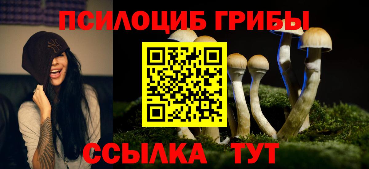 Псилоцибиновые грибы Magic Shrooms Елабуга